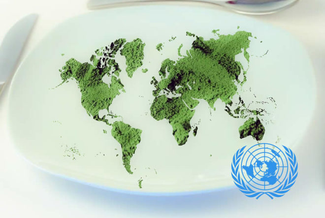 Resolución de la ONU sobre Spirulina